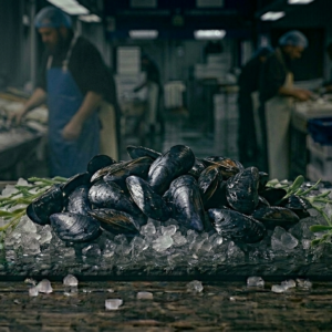 Mussels