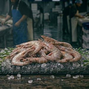 Prawns