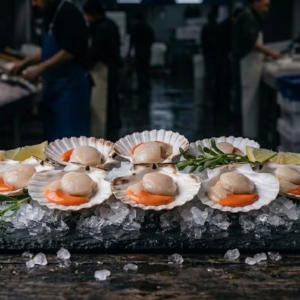 Scallops
