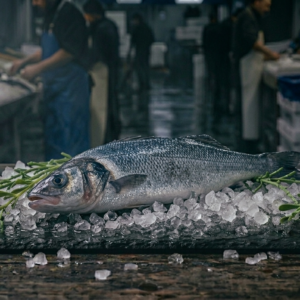 Sea Bass