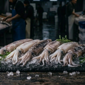 Squid