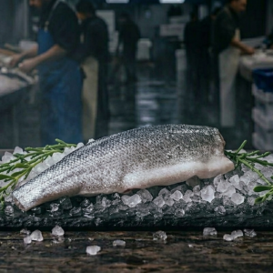 Sea Bass Fillet